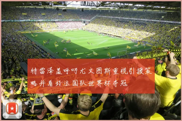 特雷泽盖呼吁尤文图斯重视引援策略并看好法国队世界杯夺冠